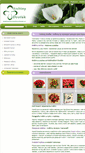 Mobile Screenshot of kvetinarstvi-kvetiny-dvorak.cz